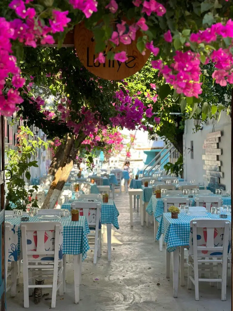 أجمل شهر عسل في تركيا 