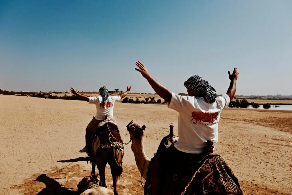 الفيوم