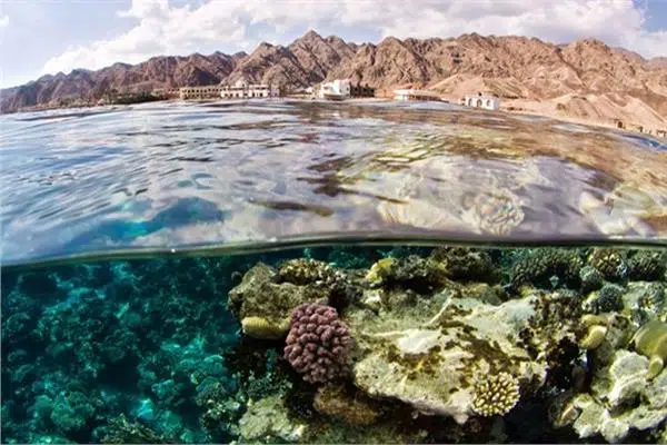 صورة لمحمية أبو جالوم من أجمل المحميات الطبيعية في مصر