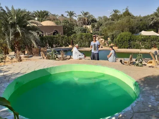 صورة لزوار الينابيع الساخنة في واحة سيوة