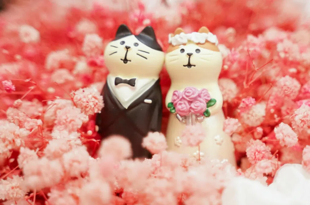Groom gift ideas