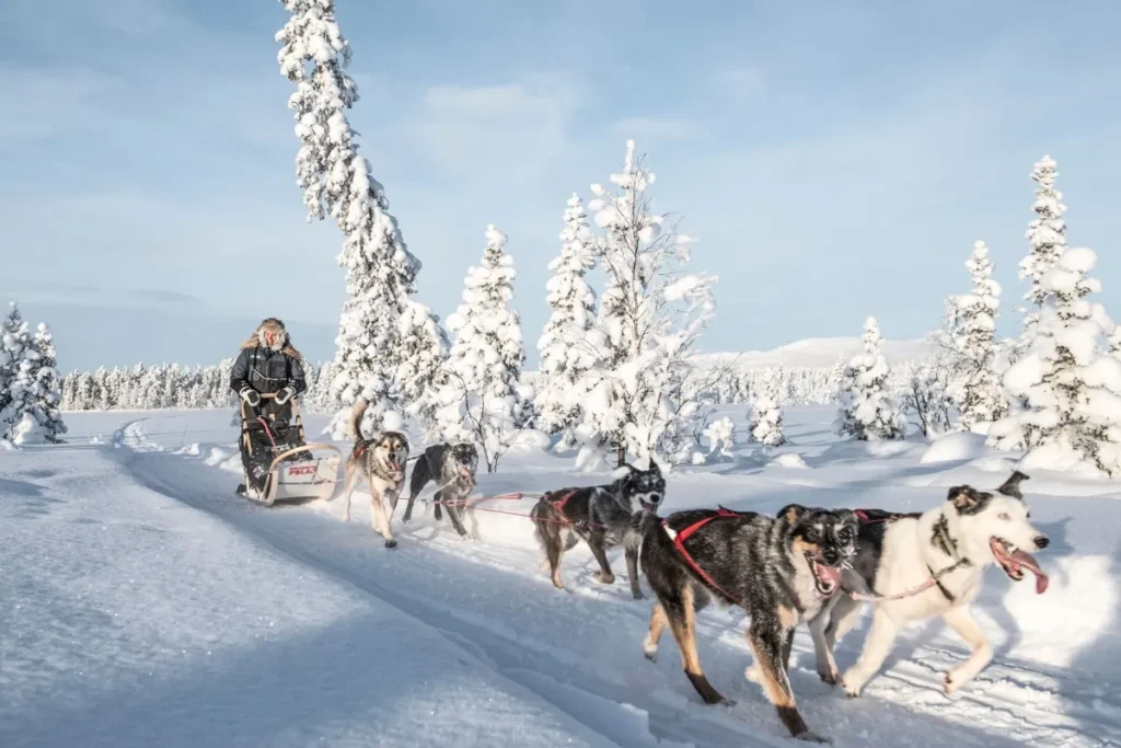 الاستمتاع بجولات الجليد كأحد أنشطة فندق icehotel أحد أغرب أماكن شهر العسل 