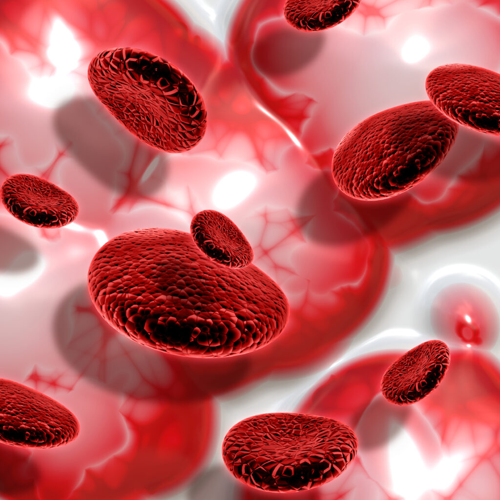 Anemia is a lack of haemoglobin in red blood cells, and it has several types according to lack of vitamins and nutrients.