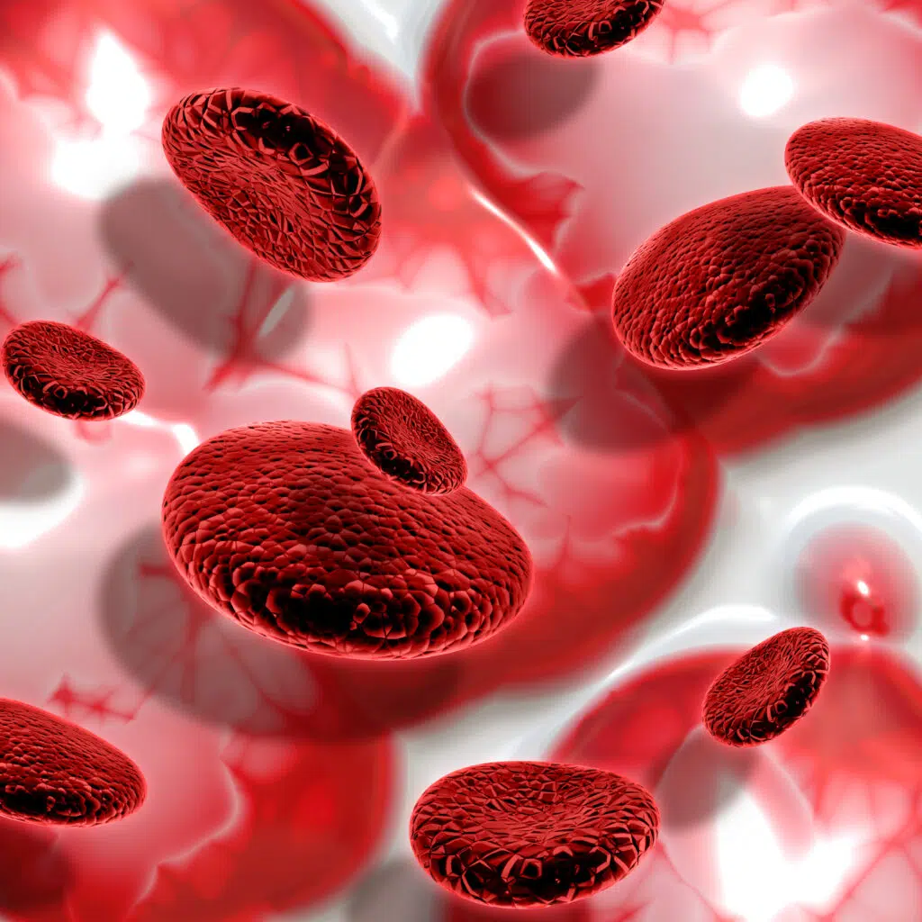 Anemia is a lack of haemoglobin in red blood cells, and it has several types according to lack of vitamins and nutrients.
