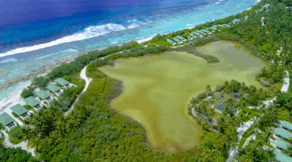 honeymoon planning